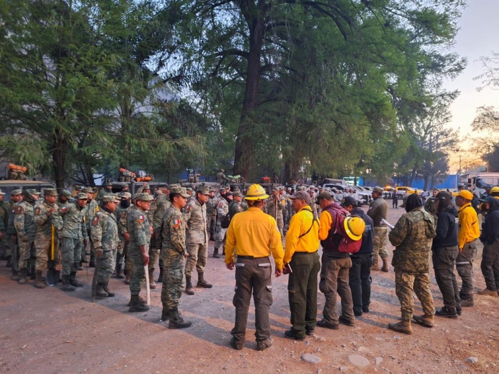 Se investigan presuntos intentos de reavivar o encender fuego en la zona centro de&nbsp;Veracruz.