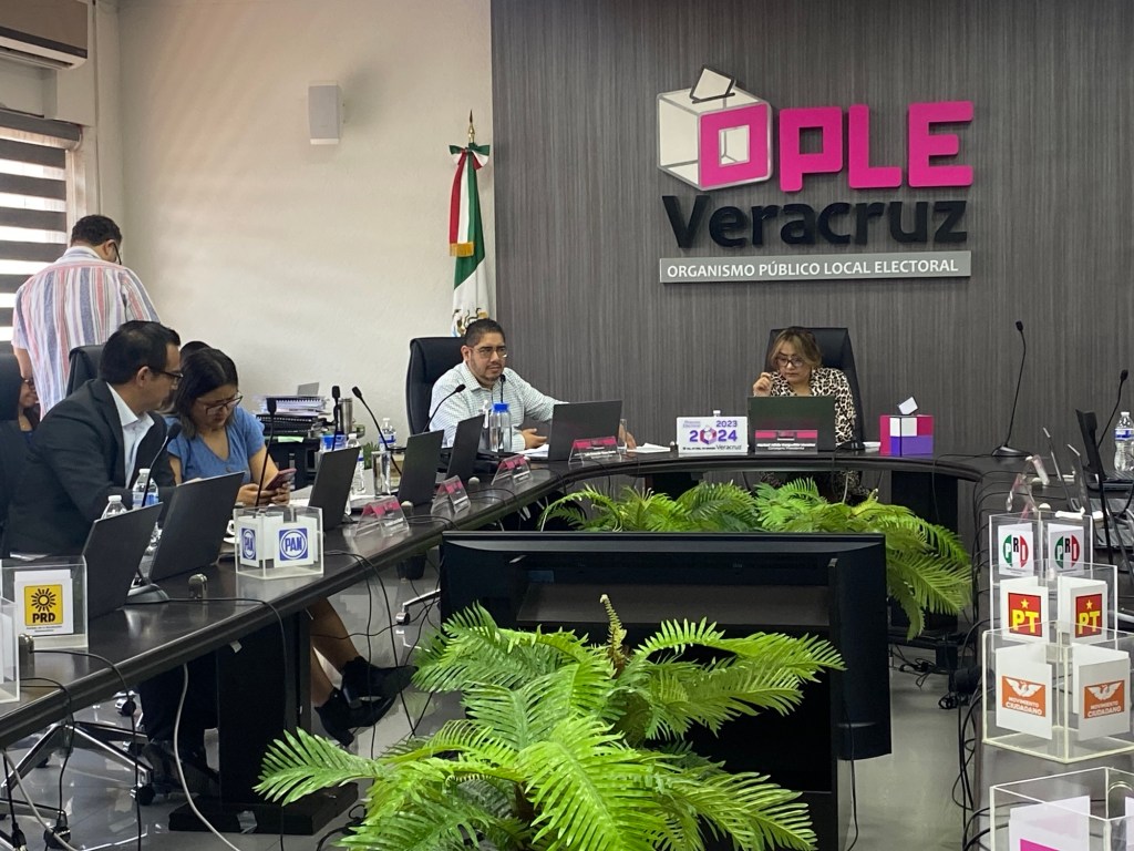 No son boletas las halladas en basura del municipio de Pánuco, sino papelería electoral:&nbsp;OPLE