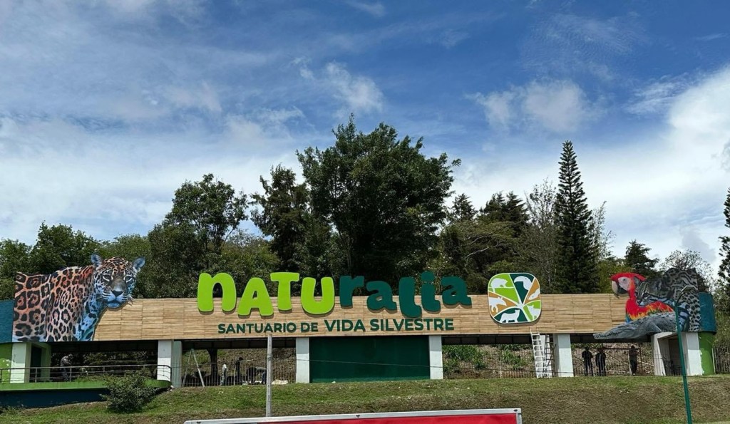 Xalapa tendrá un santuario de animales rescatados entre el parque Natura y la Estancia de ancianos&nbsp;Garnica.