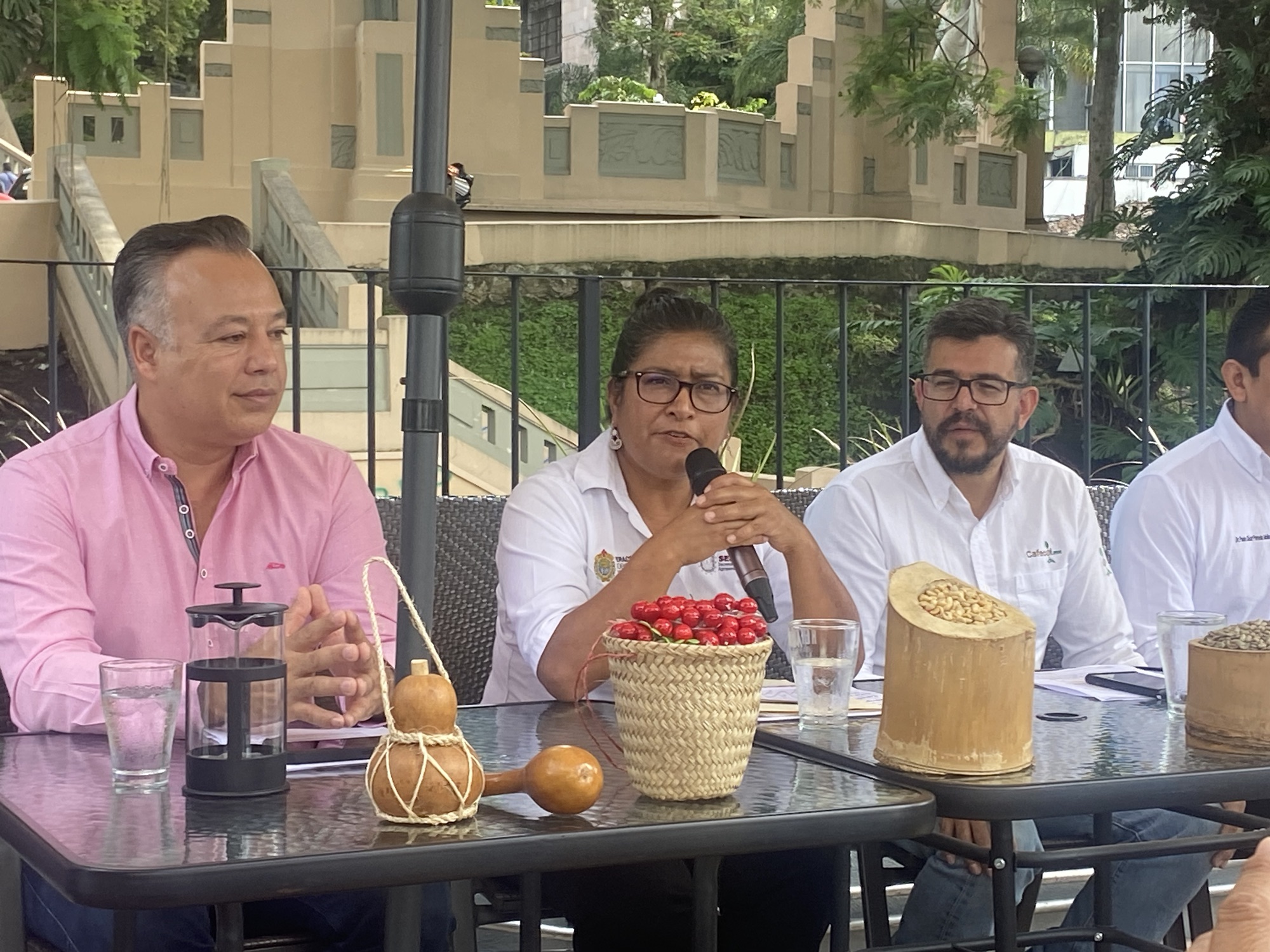 Vendrán unos 250 expositores de café a Xalapa: SEDARPA