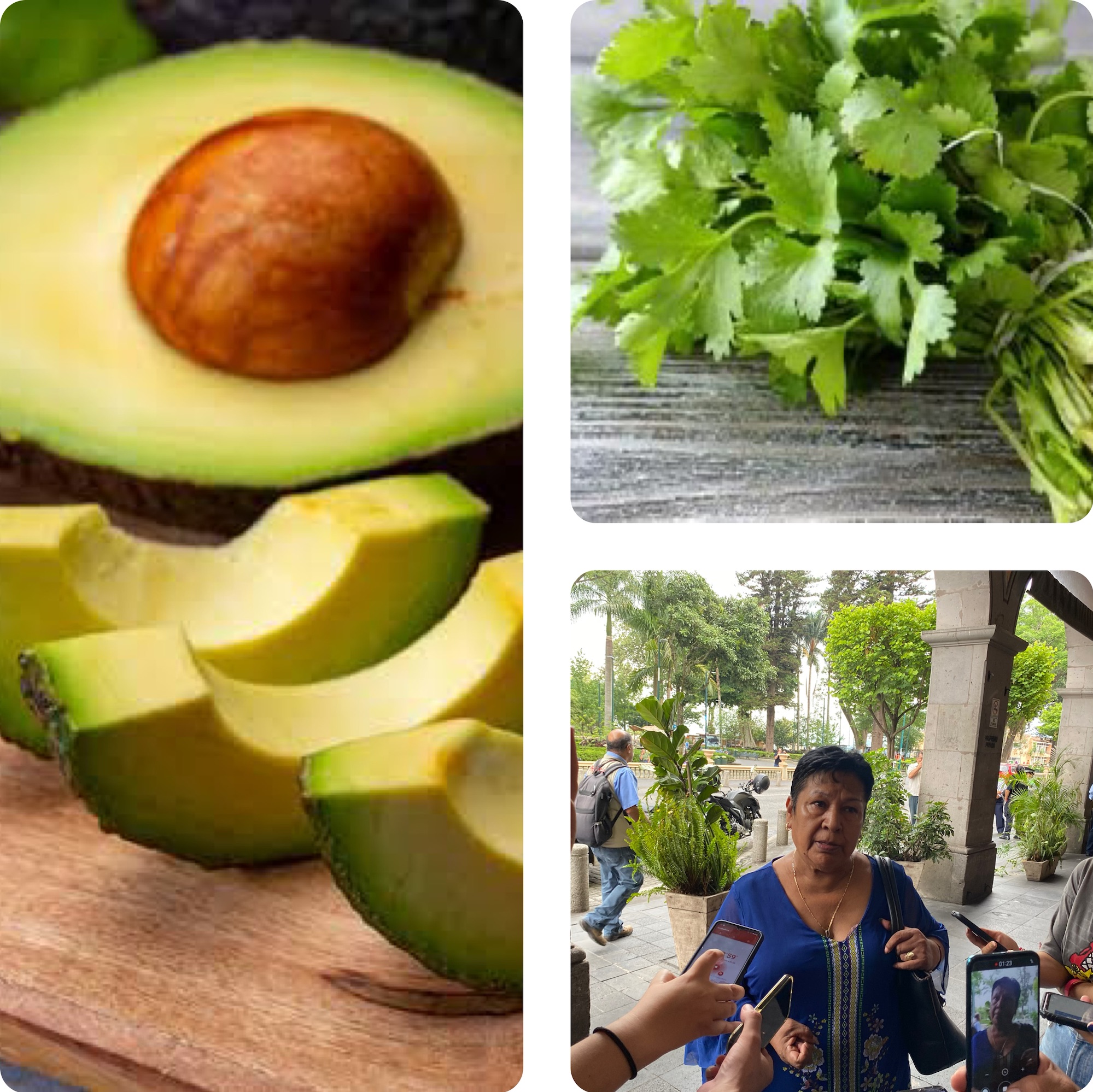 Tianguistas de la CROC confían que con lluvias podrían bajar precios de alimentos hoy caros; como cilantro, aguacate, tomate, y otros.