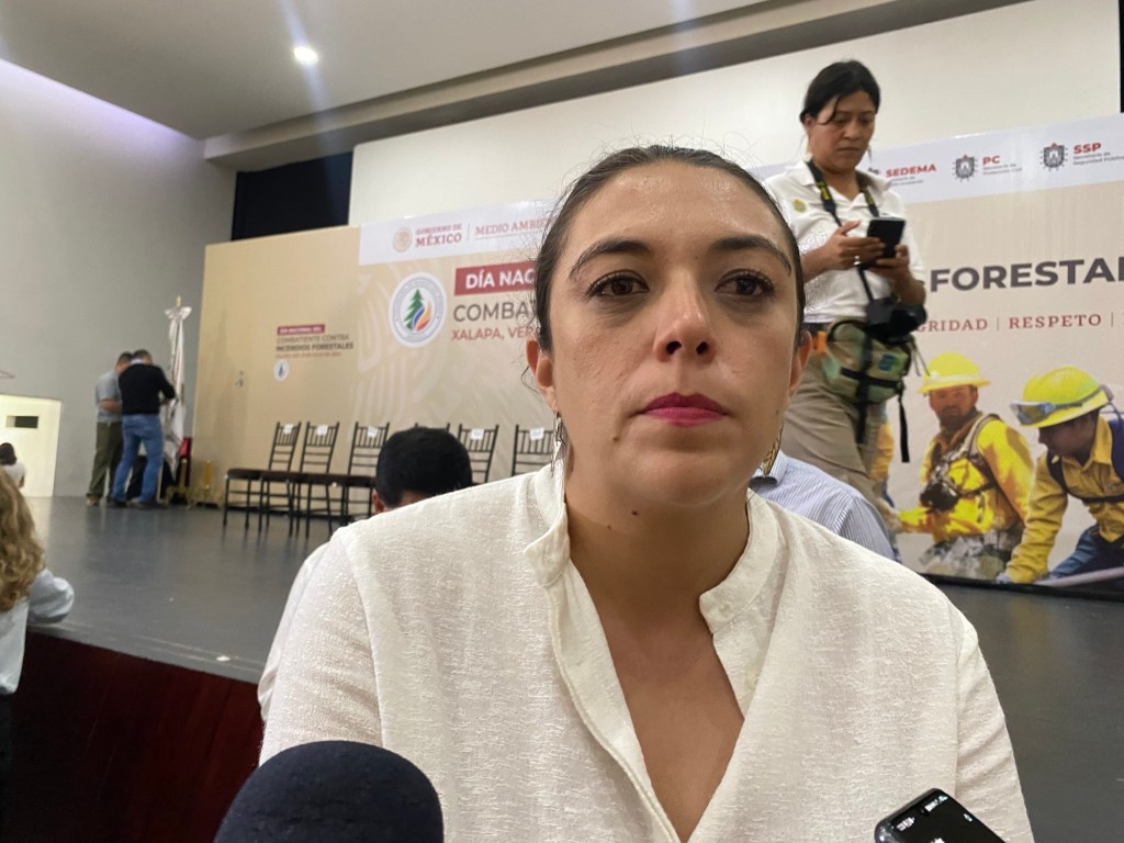 Confirma PC 14 personas atropelladas en fiestas patronales en dos municipios de&nbsp;Veracruz.