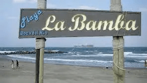 Diez Playas de Veracruz no son aptas para&nbsp;turistas.