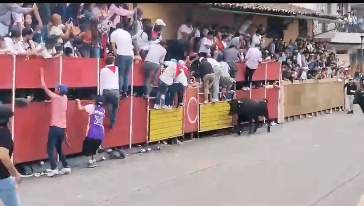 Cuatro heridos en capea de toros en&nbsp;Xico.