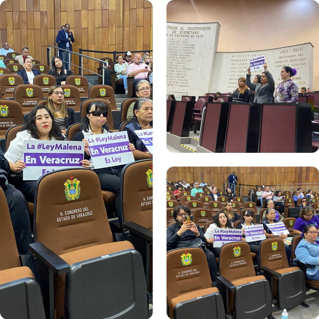 Veracruz de convirtió en la quinta entidad en aprobar la Ley Malena; además tipificó hoy como delito el acoso&nbsp;callejero.