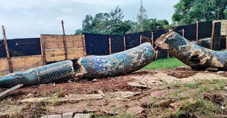 Restauran icónica serpiente de cerámica Coatl en Xalapa después de su&nbsp;destrucción.