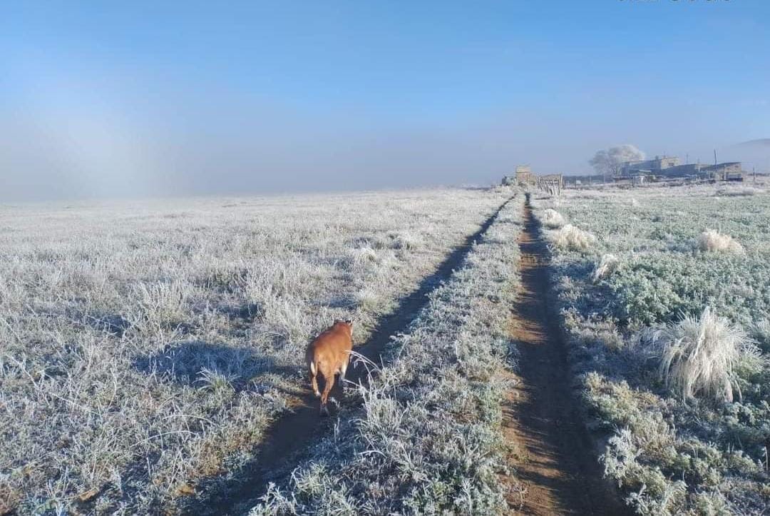 Analizan recorrer horario de entrada de clases.