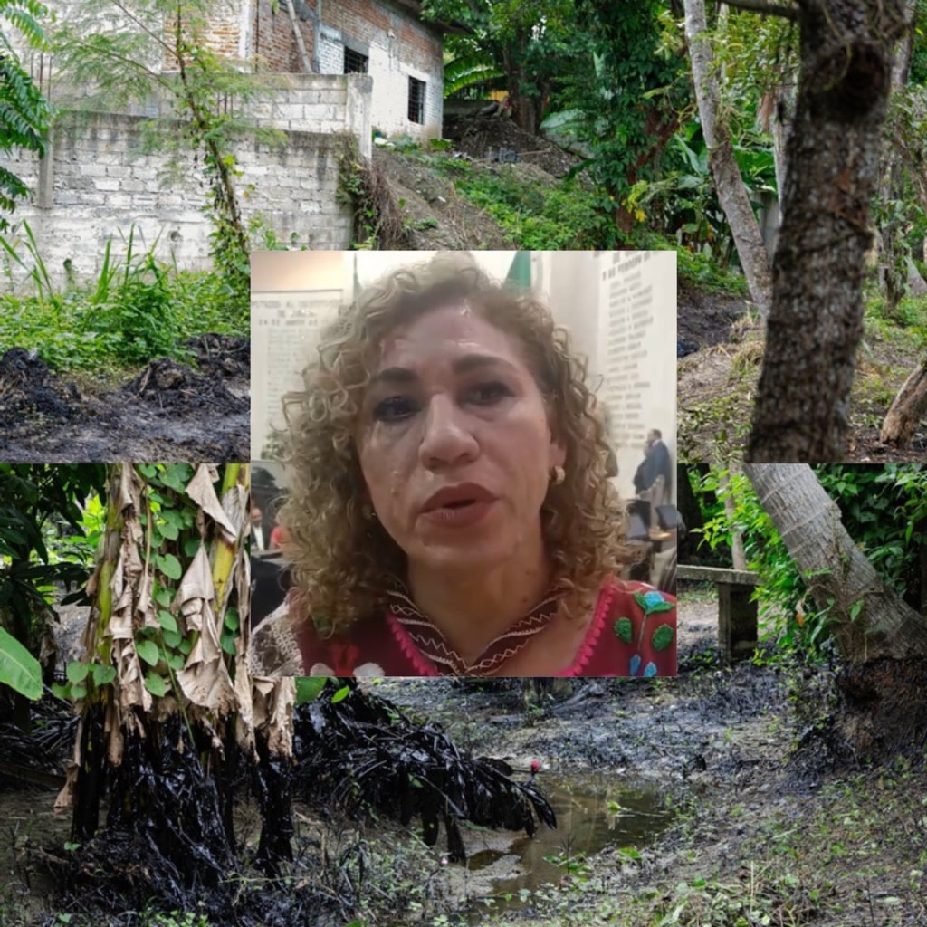Sin remediar daño ambiental por derrames de crudo en Ojital y otras regiones de Papantla y río&nbsp;Cazones.
