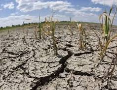 Sequía será intensa en 2025:&nbsp;CONAGUA