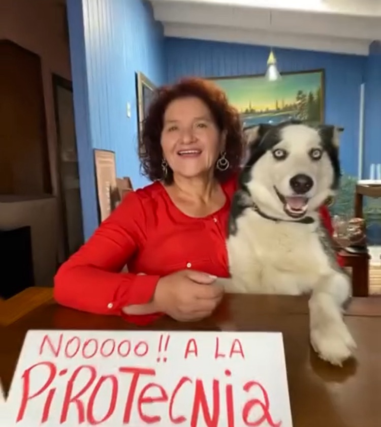 Multas por soltar cohetes o pirotecnia en Xalapa, van de los 481, hasta los 96 mil 220&nbsp;pesos.