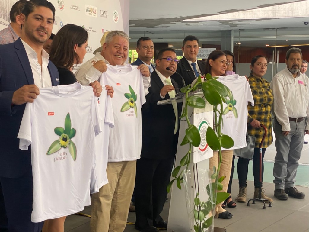 Ha descendido más de un 90 % la producción de vainilla en&nbsp;Veracruz.