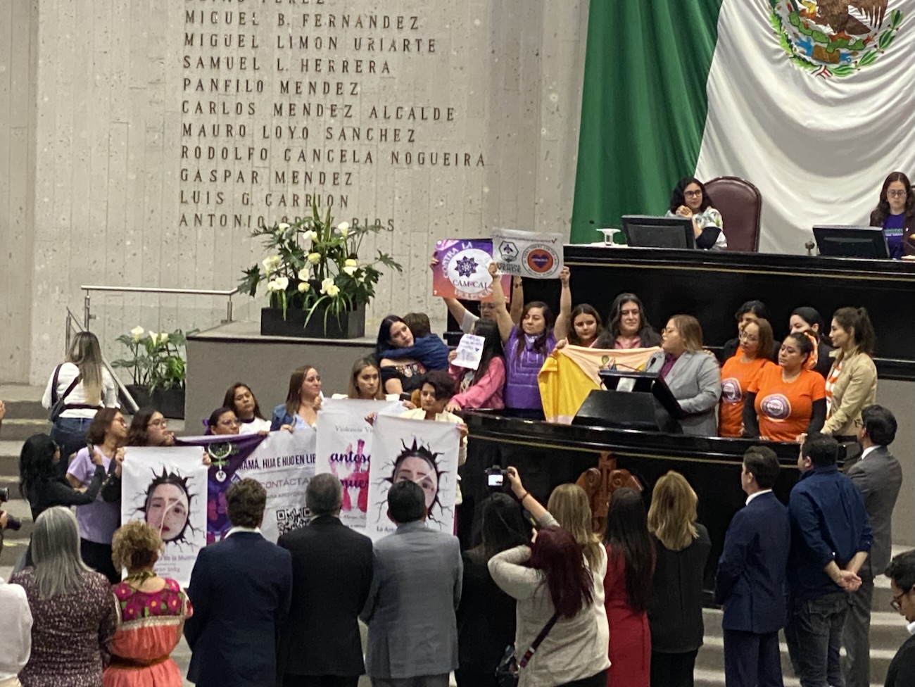 Aprueban adicionar como delito la violencia vicaria en Veracruz. Sabías que también será VV el retener y ocultar a michis, lomitos y mascotas en general?