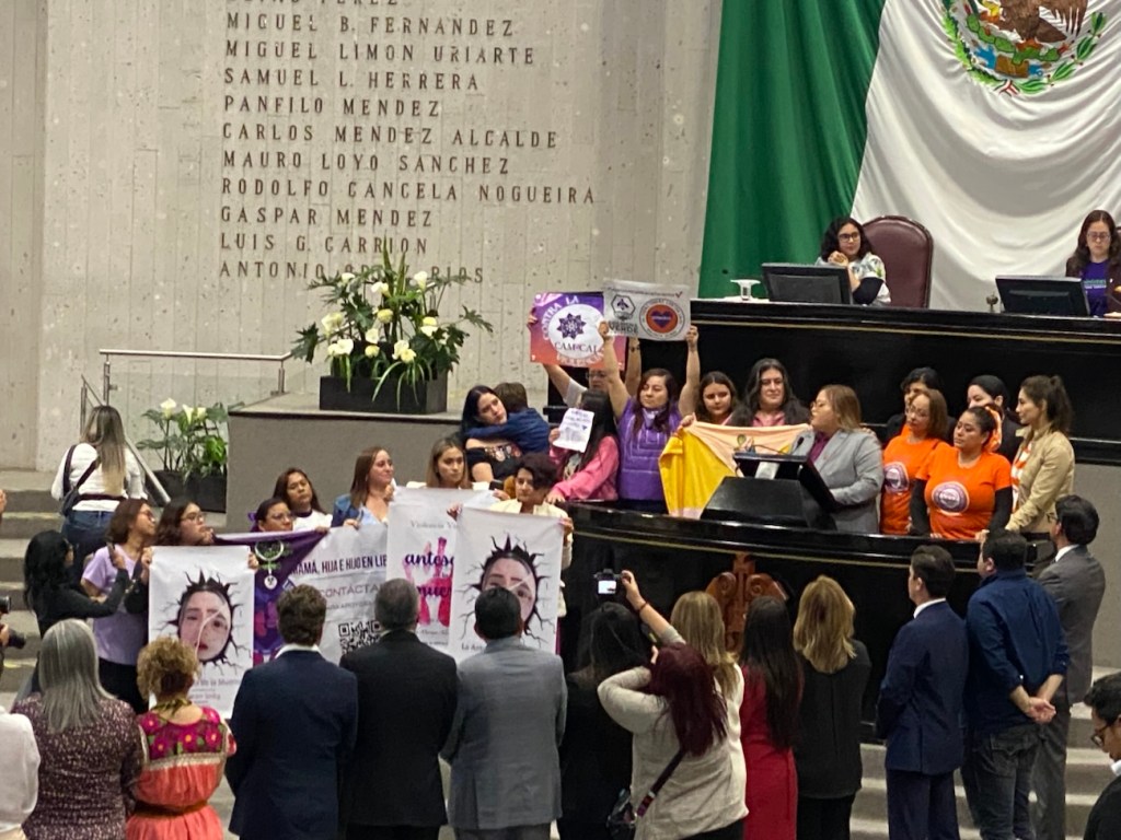 Aprueban adicionar como delito la violencia vicaria en Veracruz. Sabías que también será VV el retener y ocultar a michis, lomitos y mascotas en&nbsp;general?