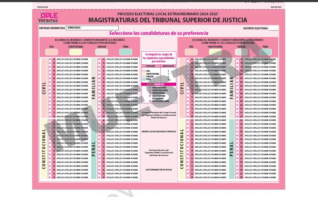 No logran echar abajo la boleta electoral de jueces.
