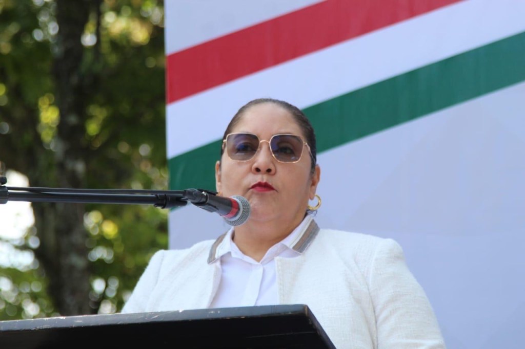 No ha llegado el 15 por ciento de libros de texto gratuitos de Telesecundaria:&nbsp;SEV