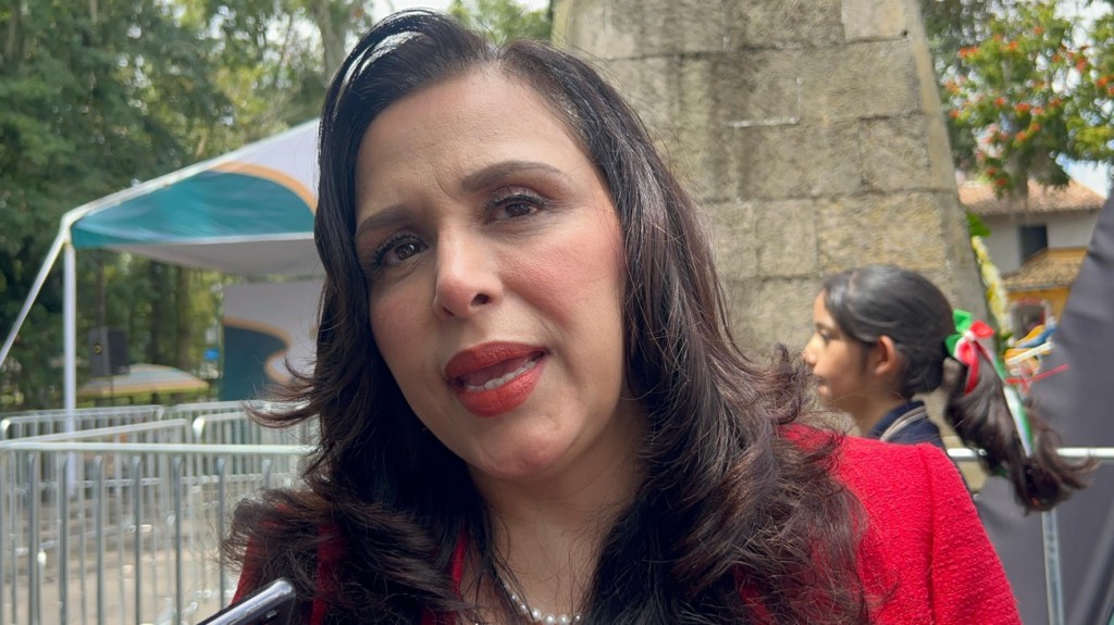 No hay ganador aún en Poza Rica:&nbsp;TEV