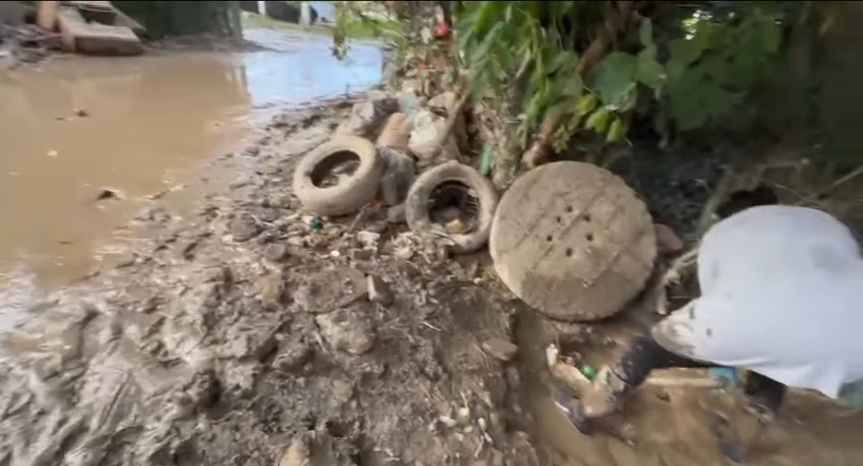 Hay arqueólogos forenses que siguen buscando restos humanos en el norte del estado: Cultura de paz SEGOBVer