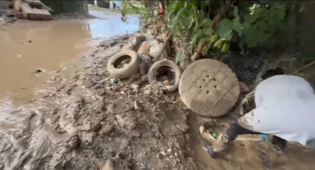 Hay arqueólogos forenses que siguen buscando restos humanos en el norte del estado: Cultura de paz&nbsp;SEGOBVer