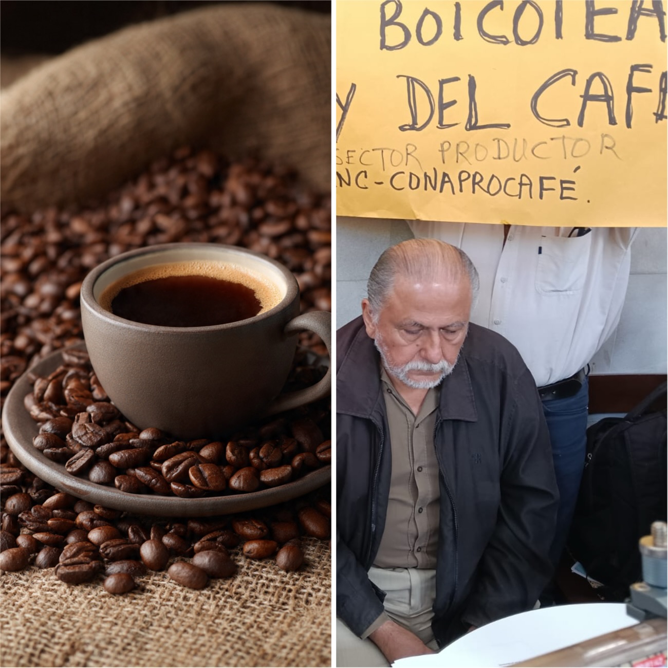 Una taza de café cuesta 50 pesos en promedio, a cafetaleros les pagan a 16 pesos el kilo de café y ya no les alcanza para producirlo