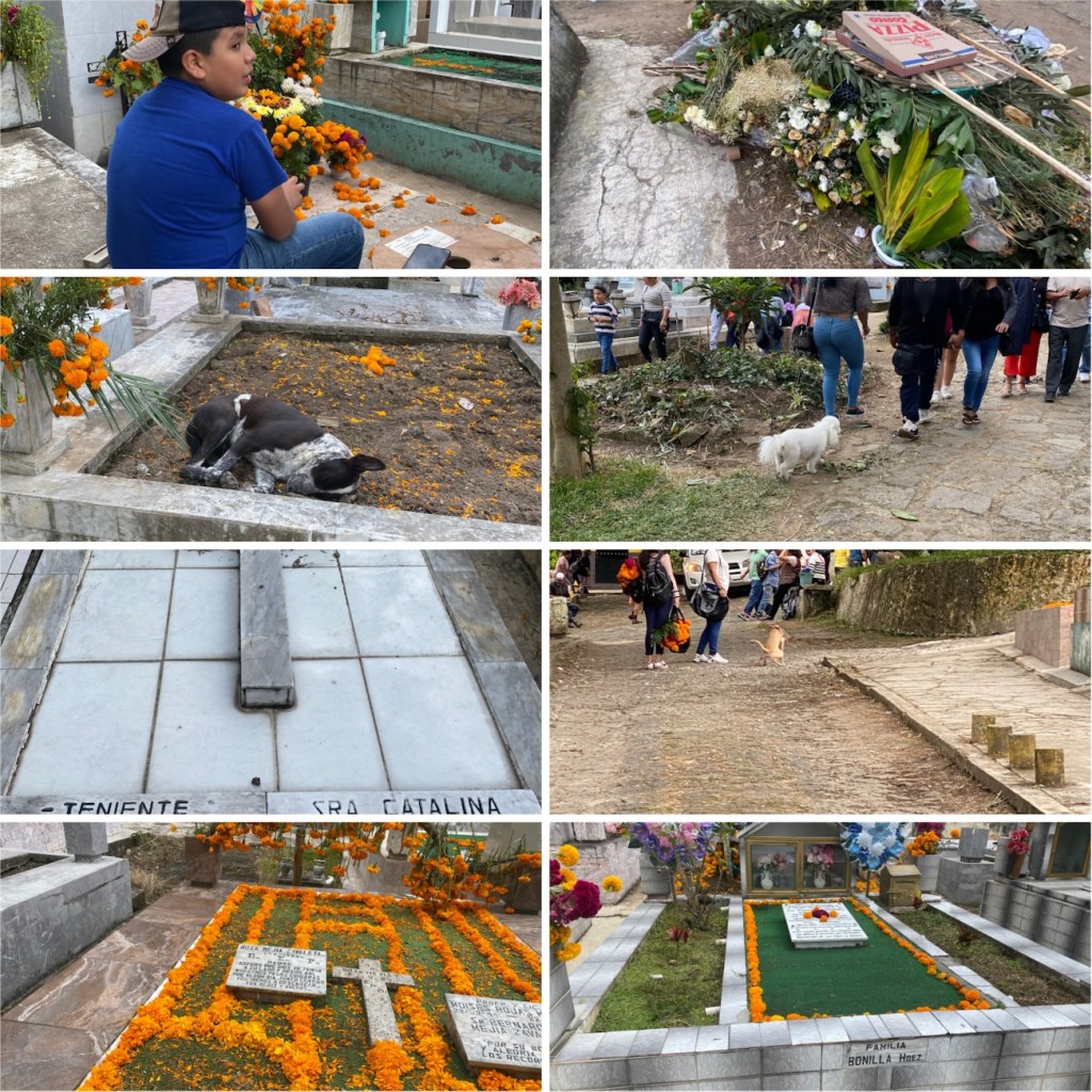 Música, flores y hasta lomito a durmiendo en tumbas formaban parte del folclor del dia de muertos en&nbsp;Xalapa