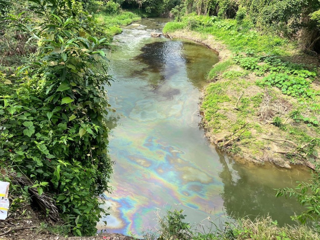 300 niños en riesgo en esta comunidad de Veracruz por fuerte olor a&nbsp;hidrocarburos
