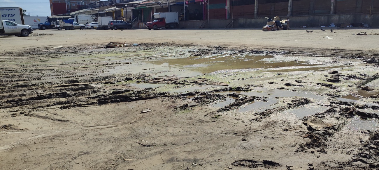 Poza Rica sigue con 50-60 % de drenajes azolvados. Central de Abastos un foco contaminante