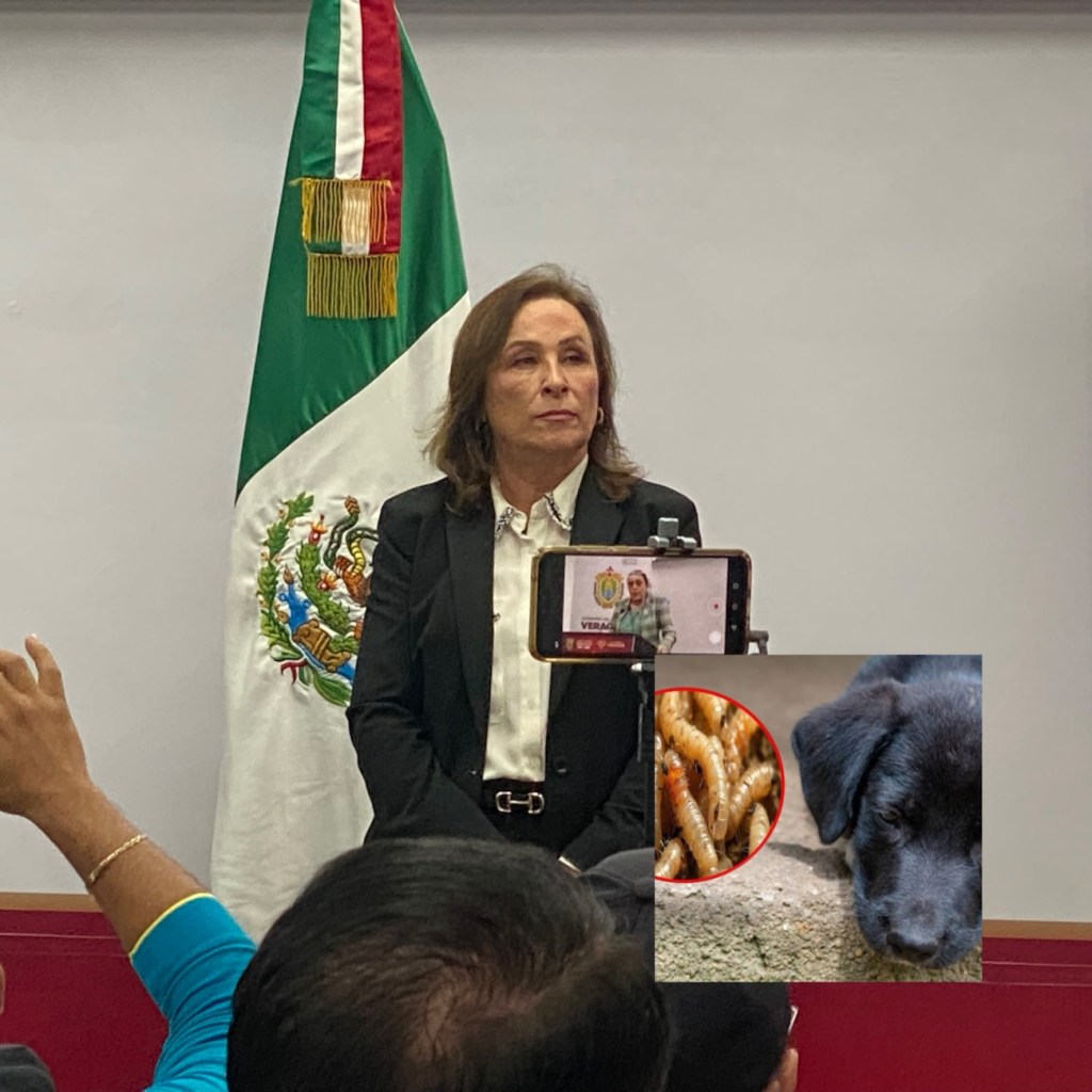 Investigará gusano barrenador en perros Nahle. Anuncia ya hay cuatro casetas de inspección&nbsp;fitosanitaria