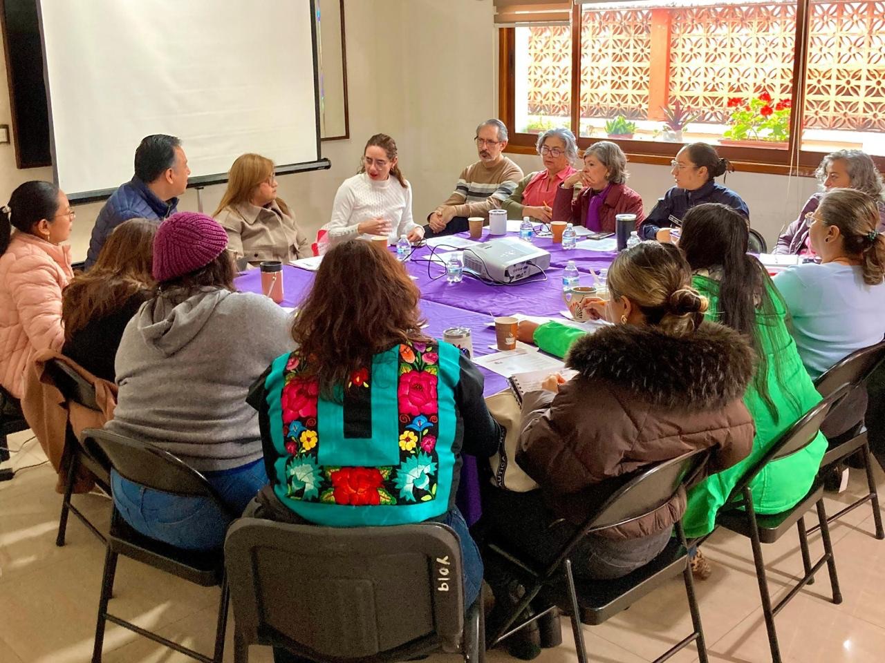 Alcaldesa Daniela instruye atender con urgencia temas de salud mental en Xalapa, por casos como los que ocurren en el Puente Xallitic