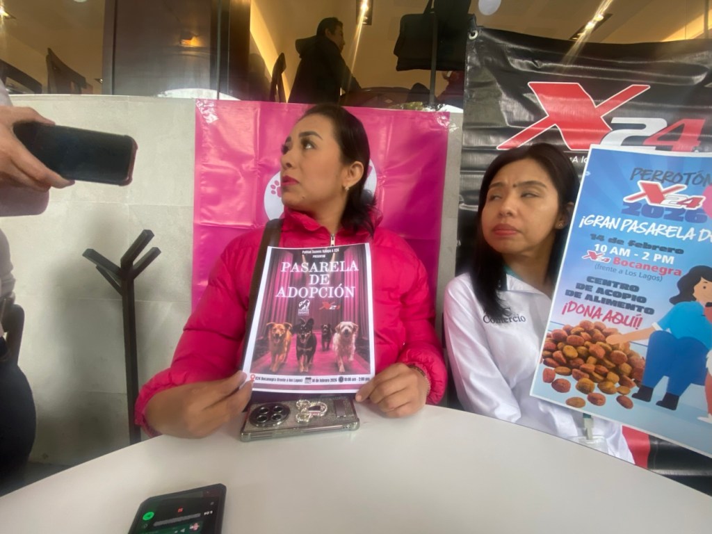 No cesa maltrato animal en Xalapa; estas tres colonias concentran las mayores quejas: Patitas&nbsp;Suaves