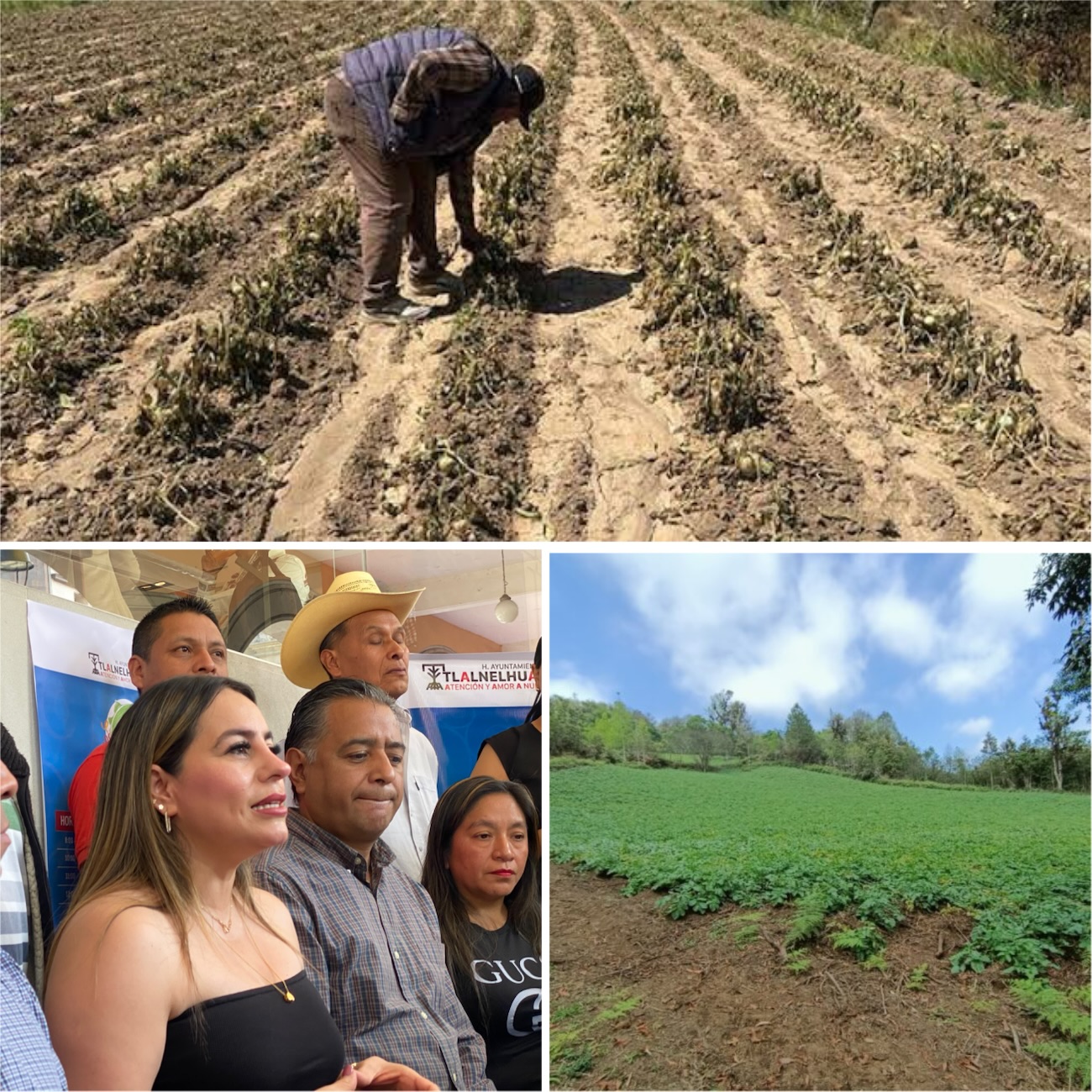 En Tlalnelhuayocan siembran con agro químicos que contaminan el agua; afectaría a 7 municipios, pide alcaldesa mesa con gobierno