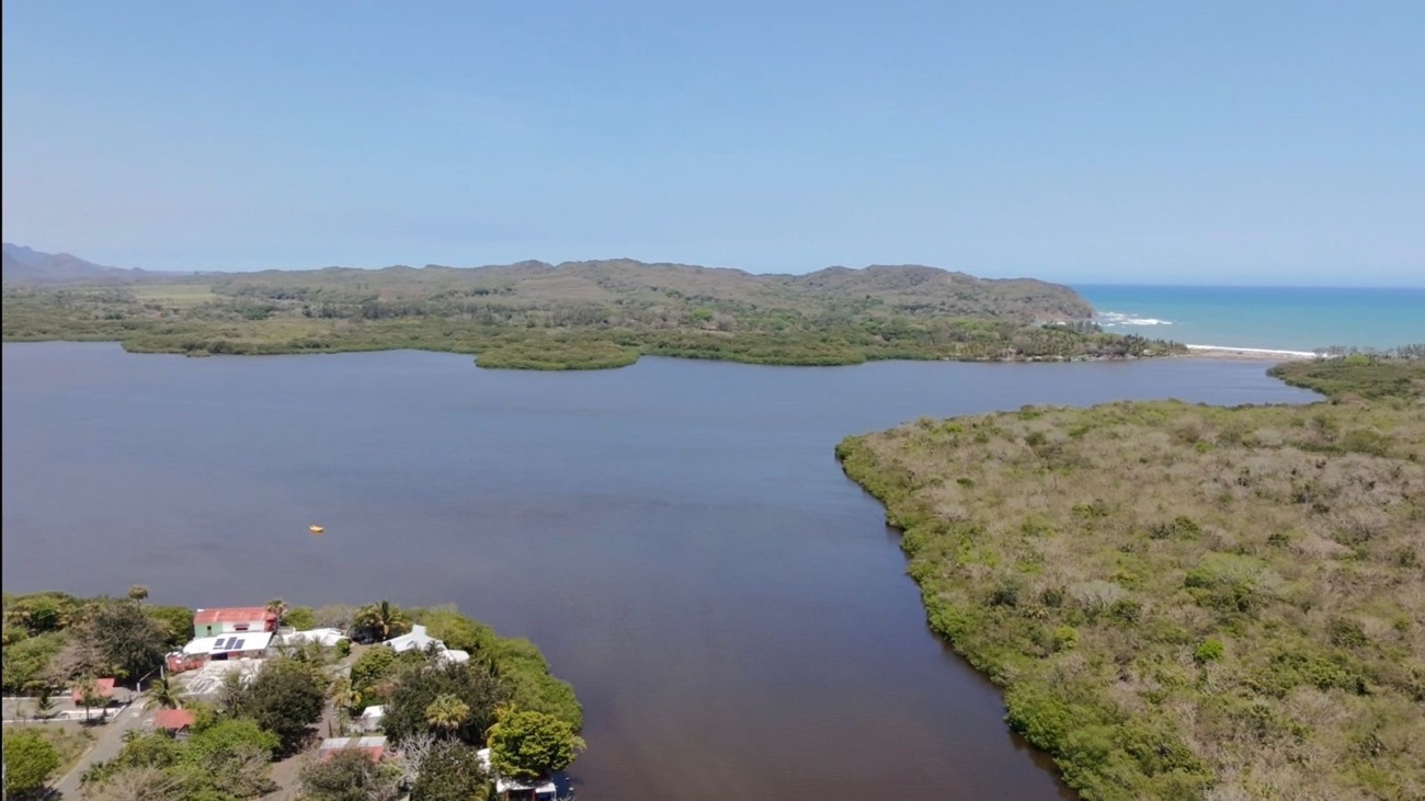 La pesca lleva detenida semanas en la Laguna La Mancha por derrame de hidrocarburos; lugareños también temen por la anidación de 280 especies de aves